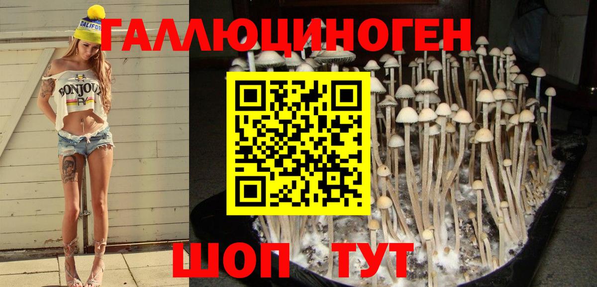 хочу   Вход с VPN  Шатура  Галлюциногенные грибы MAGIC MUSHROOMS 