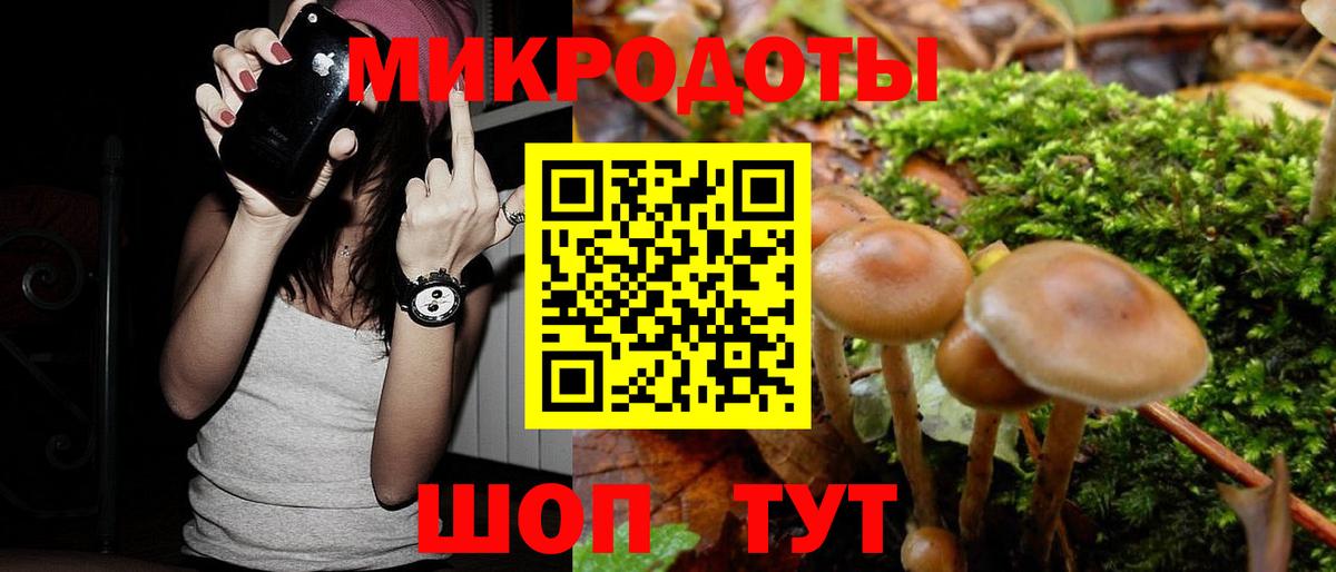 Псилоцибиновые грибы мухоморы Шатура